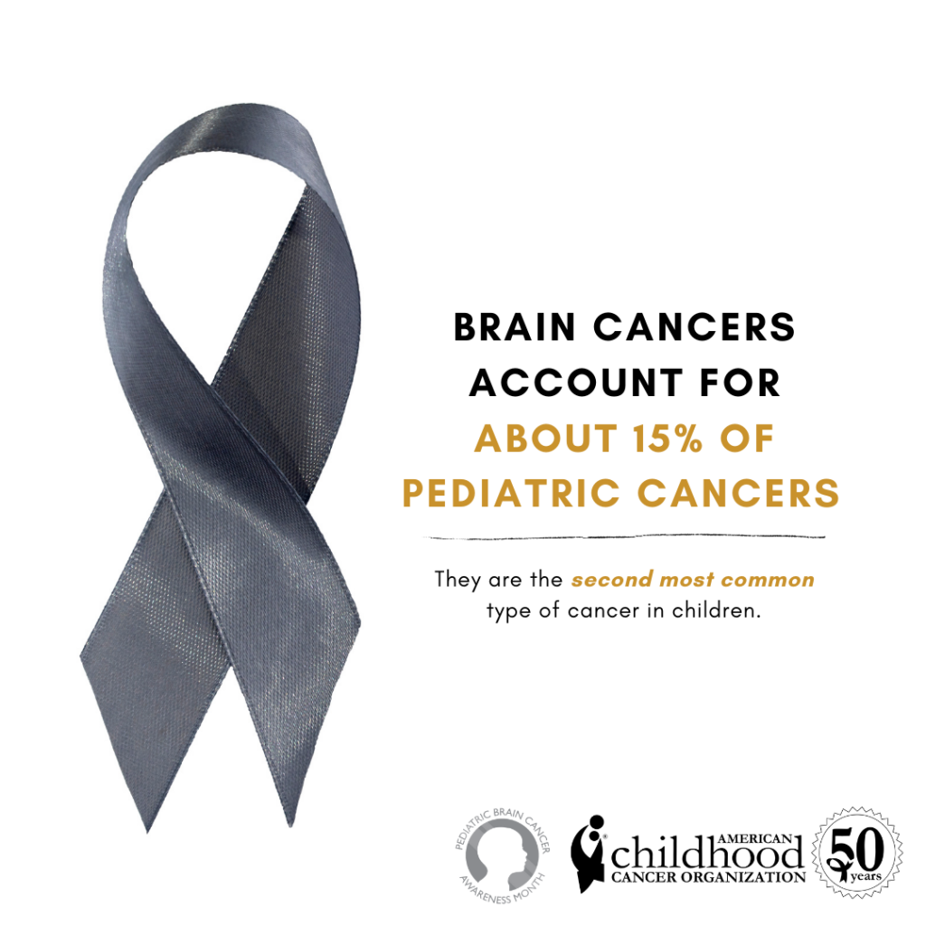 Brain Tumor Awareness Month Acco 6657